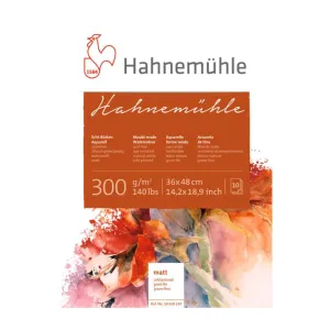 Hahnemühle Mould Made MATT 300gsm 50x60cm (2 Sheets)