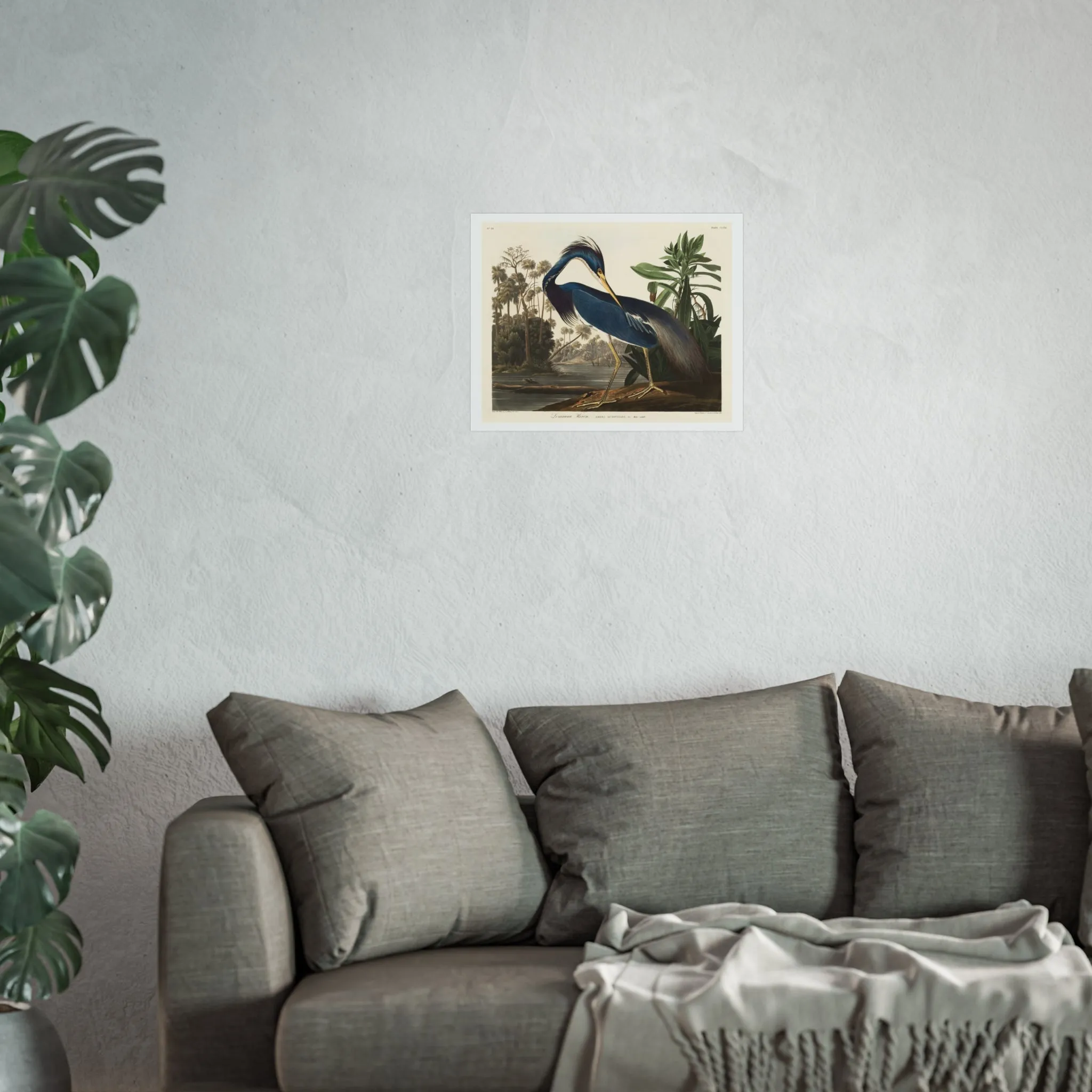 Louisiana Heron Giclée Print