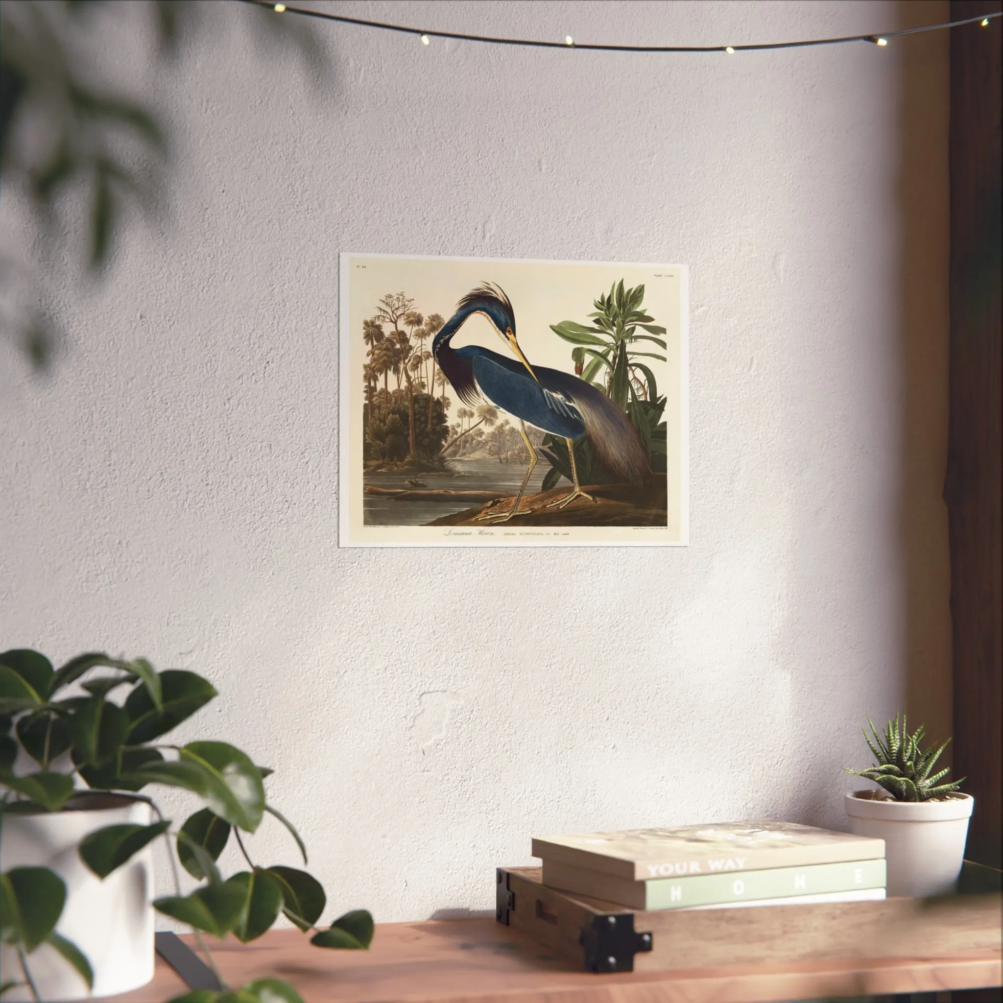Louisiana Heron Giclée Print